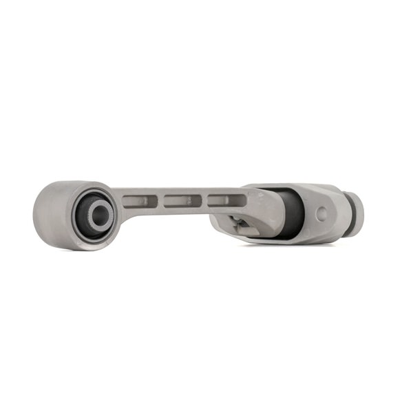 247E1054 RIDEX 219502S000 Motorlager