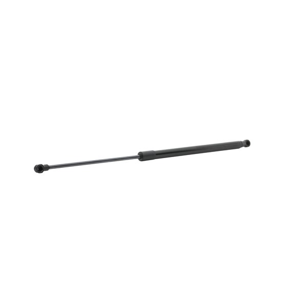 RIDEX 514G0189 BENTLEY Motorhaubendämpfer Kosten