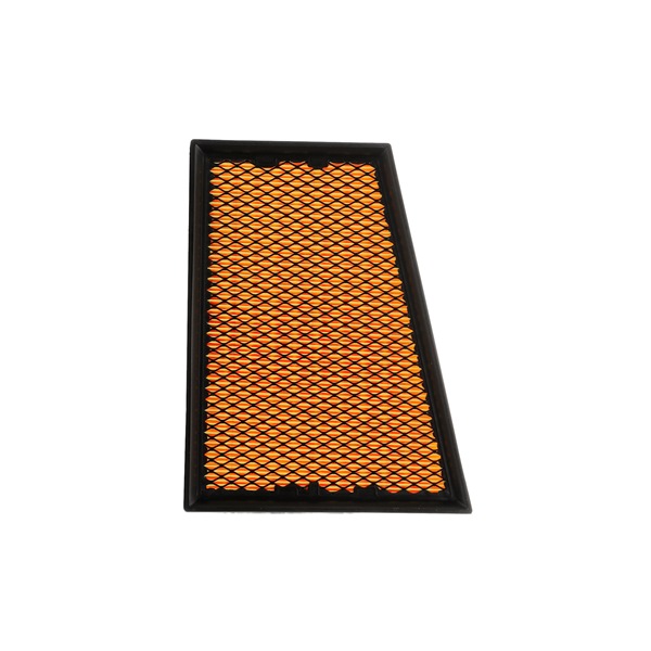 Oro filtras 8A0251P RIDEX PLUS Oro filtras kaina