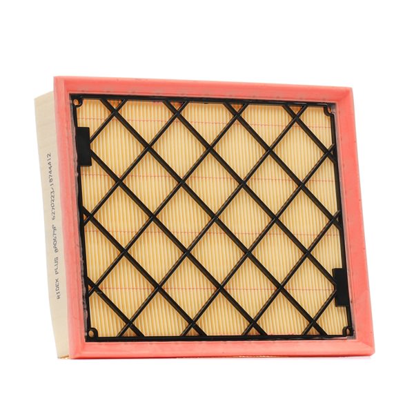 RIDEX PLUS DS73-9601-AC Filtro aria 8A0679P
