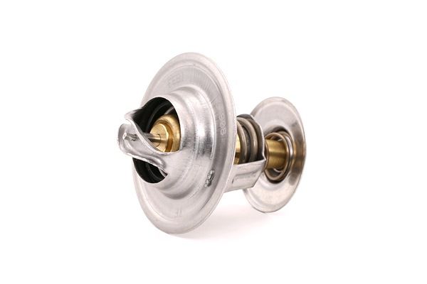 Termostatas, aušinimo skystis FEBI BILSTEIN AUDI Q5 17978