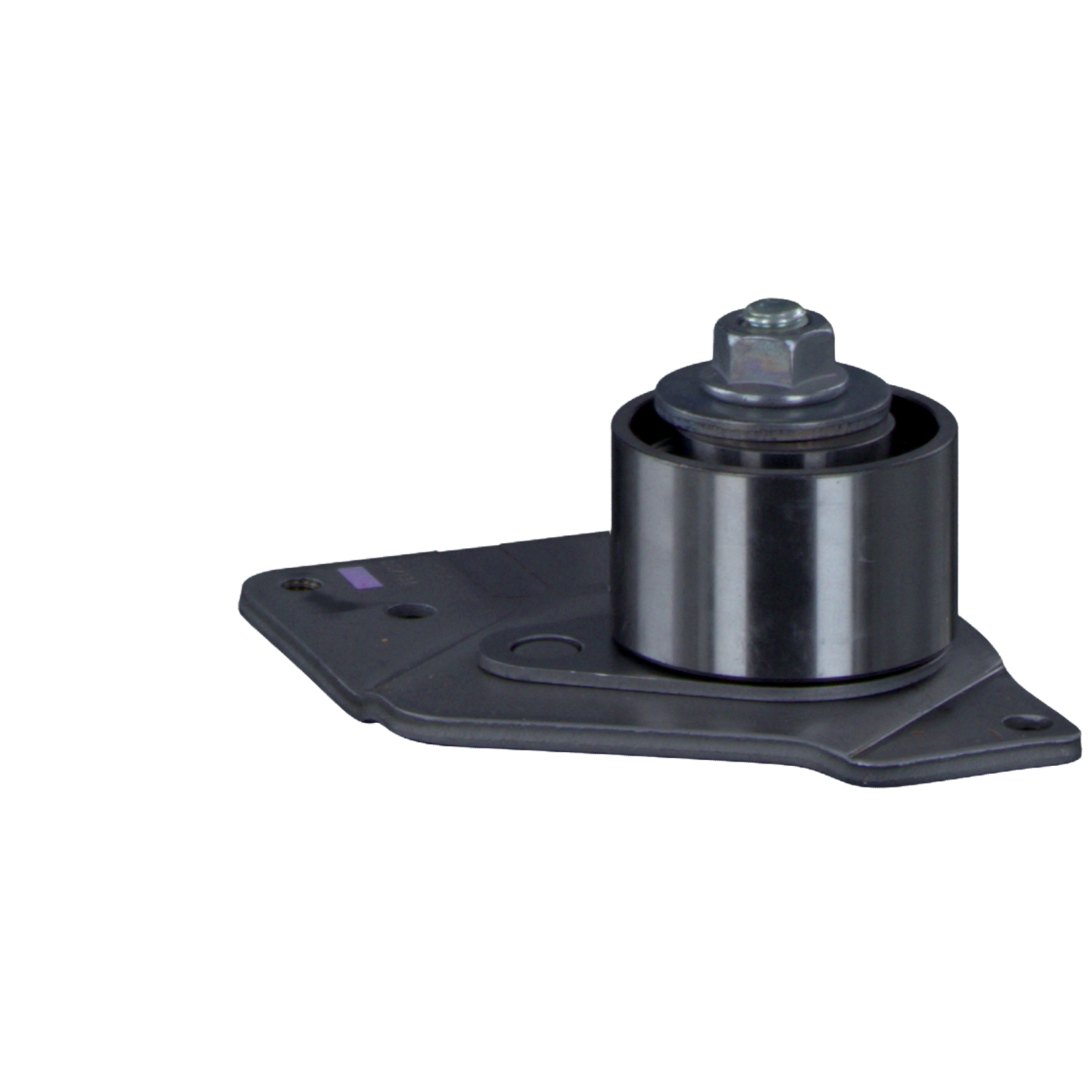 FEBI BILSTEIN 8200709719 Rolo tensor, correia dentada 24529