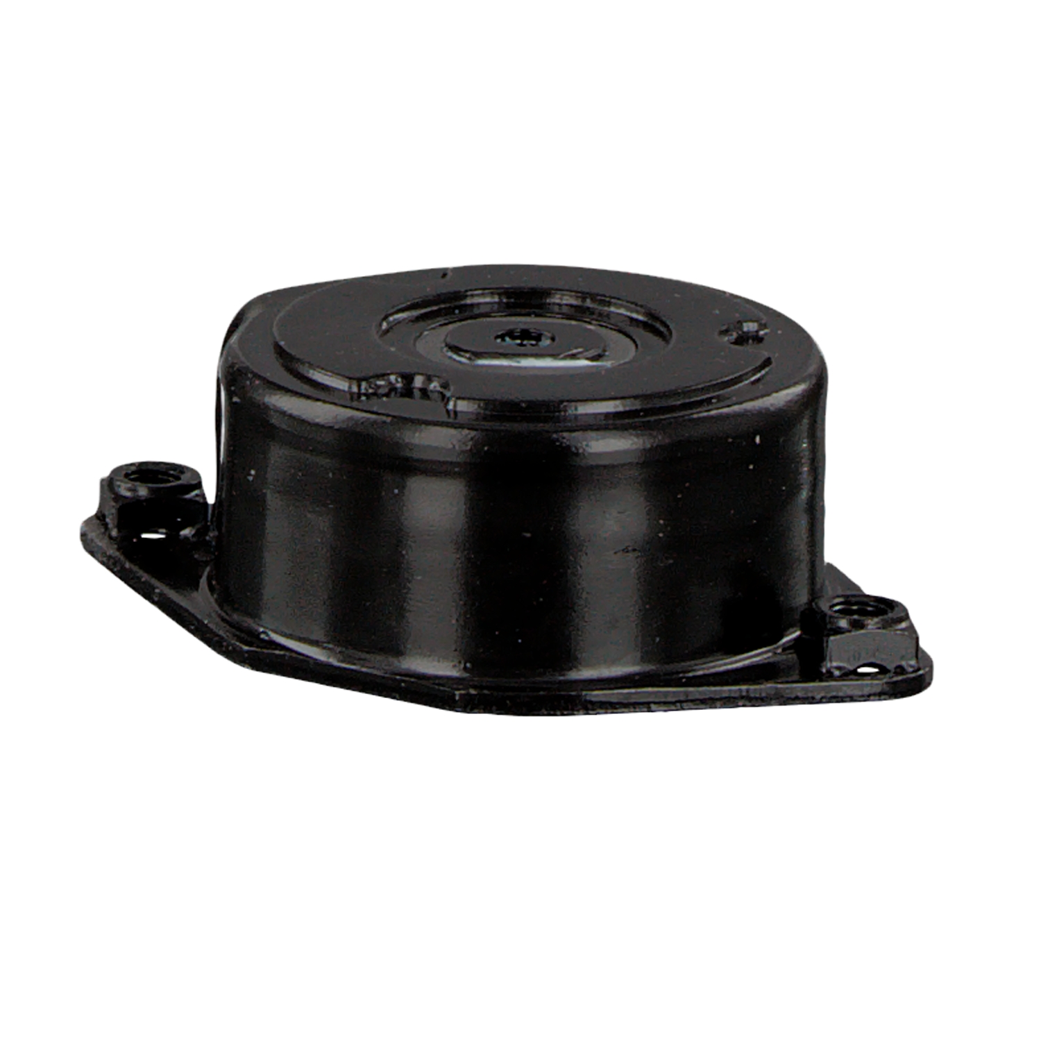 FEBI BILSTEIN 27381 Napenjalec, rebrasti jermen BMW 3 Compact (E46)