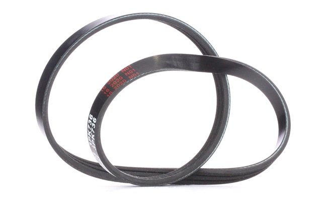 FEBI BILSTEIN 28745 Cinghia servizi Twingo 1 Serie originale prezzo
