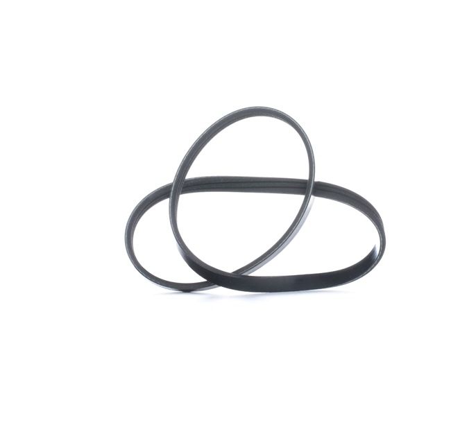 FEBI BILSTEIN 28746 Cinghia servizi DACIA Logan II Sedan (L8) originale prezzo