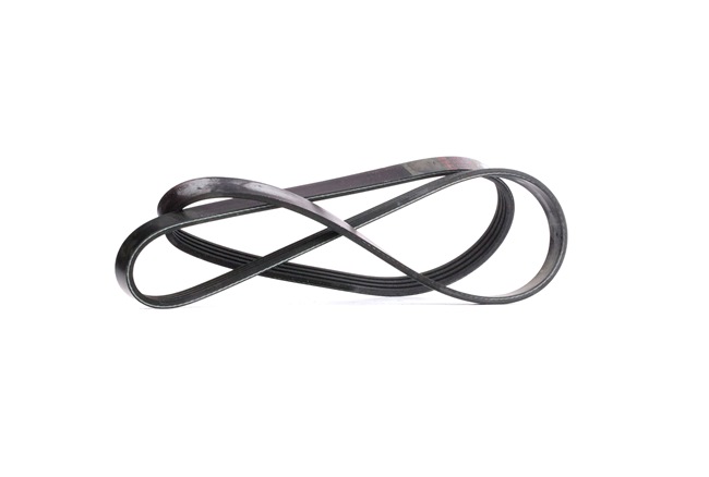 Keilrippenriemen 28810 FEBI BILSTEIN Flachriemen Kosten