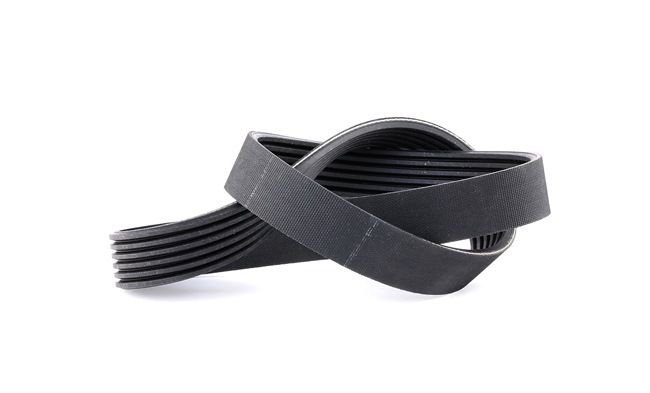 Aggregateriemen FEBI BILSTEIN SEAT IBIZA 28894