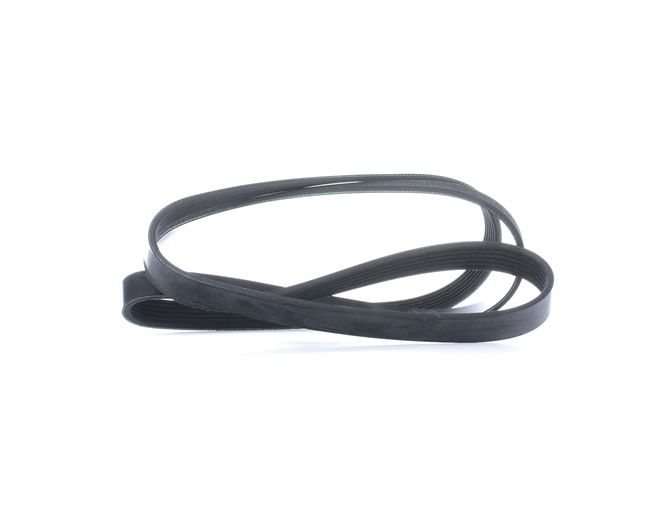 FEBI BILSTEIN 28959 Cinghia servizi IVECO prezzo