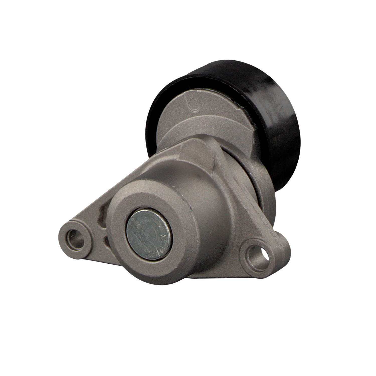 FEBI BILSTEIN 31076 Tenditore cinghia servizi CITROËN prezzo