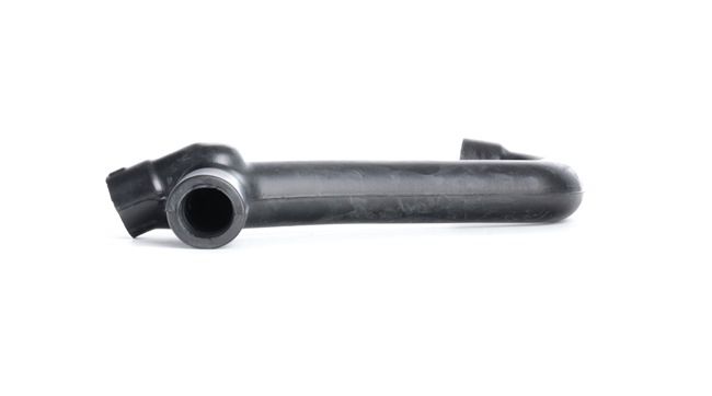 FEBI BILSTEIN 33855 Calidad y precios justos