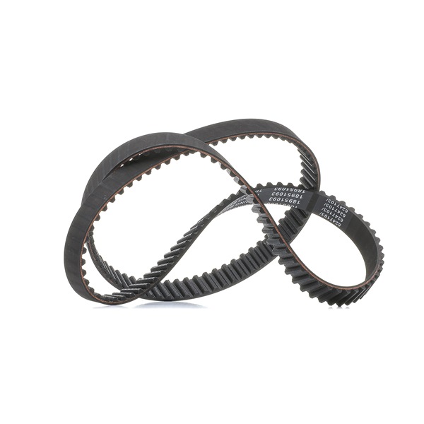 RIDEX PLUS 306T0042P Nissan Sunny 2 N13 Jakohihna