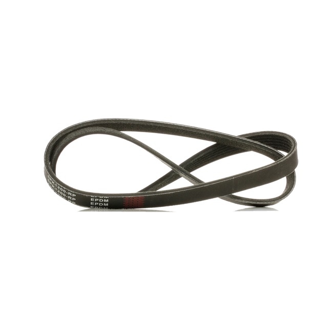 RIDEX PLUS 305P0064P Cinghia servizi DACIA prezzo