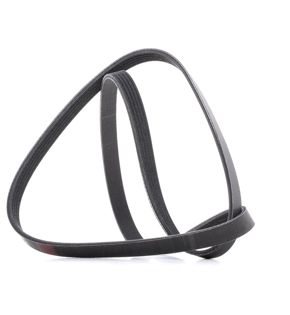 RIDEX PLUS 305P0040P Courroies, chaînes, galets Audi A6 C5 Berline 1.9 TDI 110 CV Diesel 1999