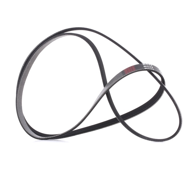 RIDEX PLUS 305P0160P Cinghia servizi Mercedes W169 originale prezzo