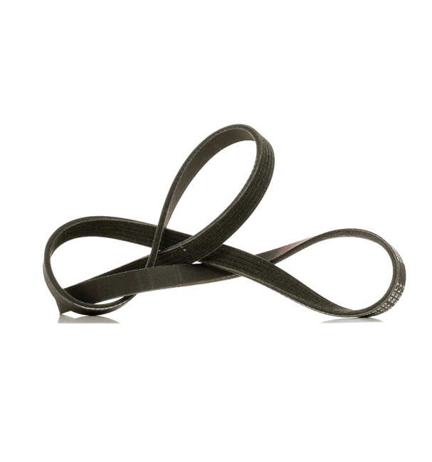 RIDEX PLUS 99365-C1210 Courroie Poly-V 305P0156P