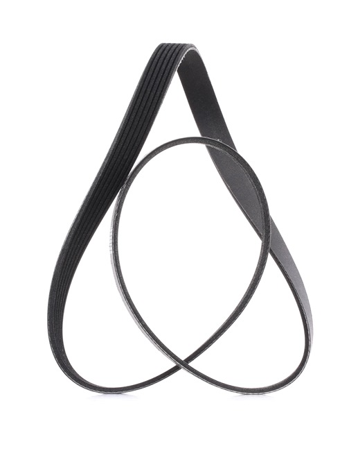 RIDEX PLUS 032 145 933 T Cinghia servizi 305P0302P