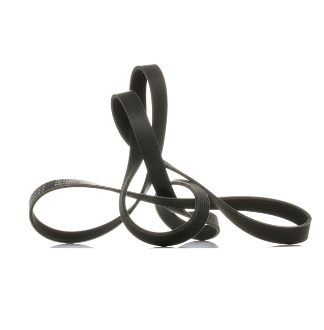 RIDEX PLUS 305P0119P Cinghia servizi Porsche 997 Cabrio originale prezzo
