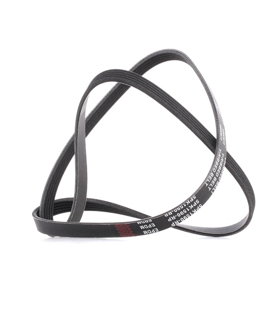 Kileribberem RIDEX PLUS AUDI A6 305P0042P