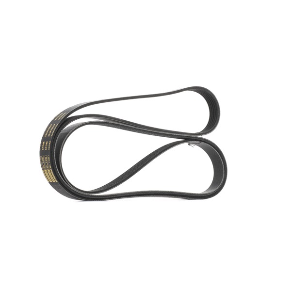 RIDEX PLUS 305P0206P Cinghia servizi VW Touareg 1 3.0 V6 TDI 240 CV Diesel 2010