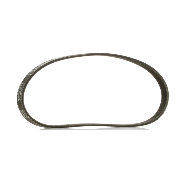 RIDEX PLUS 04E145933G Cinghia servizi 305P0195P
