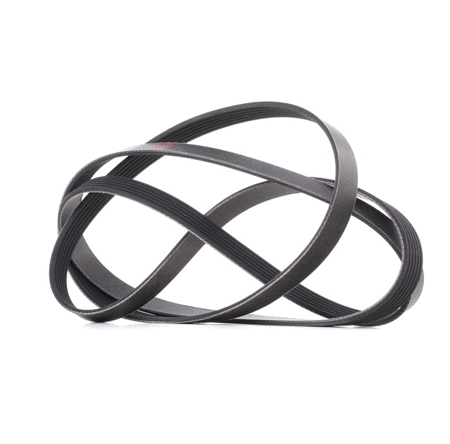 RIDEX PLUS 305P0216P Ιμάντας poly-V Mazda 2 MPV 2.3 (LW3W) 141 PS Βενζίνη 2003