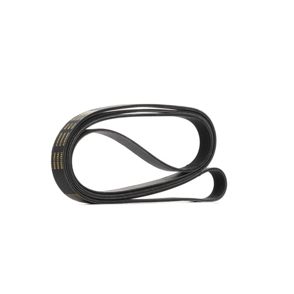 RIDEX PLUS 305P0481P Correia do alternador Ford Ranger TKE preço