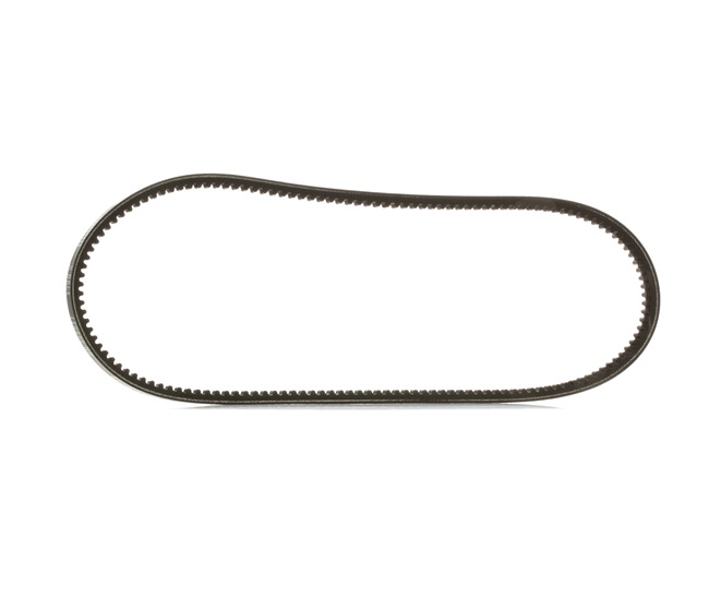 RIDEX PLUS 32 371 9 Kiilahihna 10C0036P