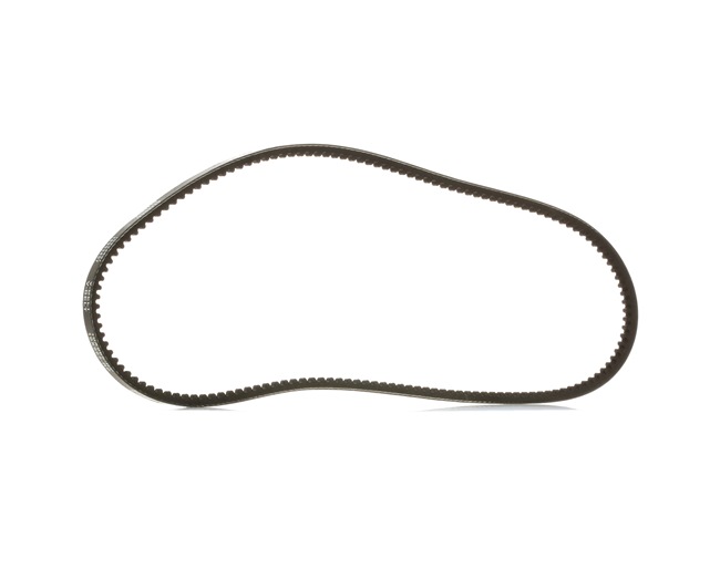 RIDEX PLUS 10C0031P Trasmissione a cinghia / catena Porsche 914 originale prezzo