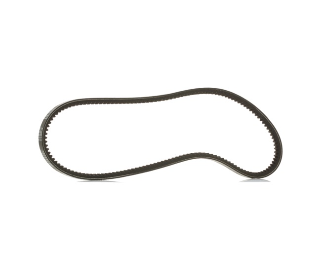 RIDEX PLUS 93 181 703 V-riem 10C0061P
