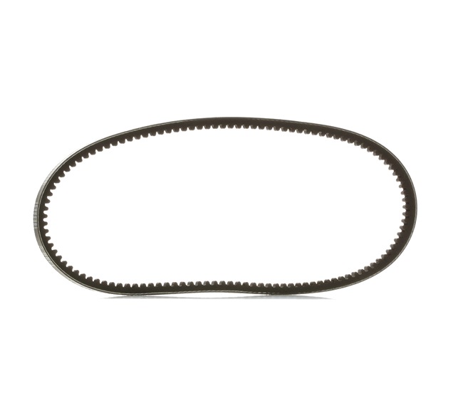 RIDEX PLUS 10C0016P Correia trapezoidal Polo 6N1 1.7 SDI 60 cv Diesel 1998