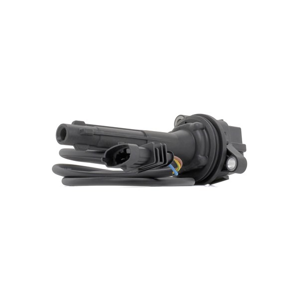 RIDEX 689C0477 Aizdedzs sveces Ferrari F430 Spider