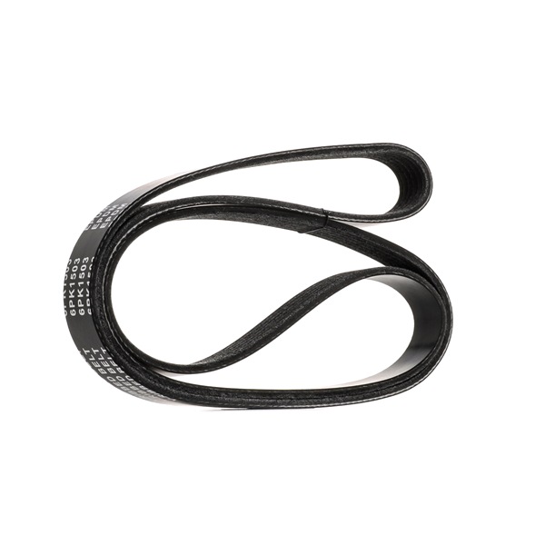 SKPB-0090501 STARK CM5Z8620F Keilrippenriemen