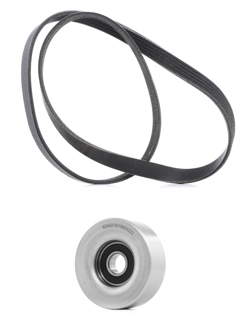 RIDEX PLUS 542R0023P multiriem set Clio 3 1.5 dCi 88 Pk Diesel 2011