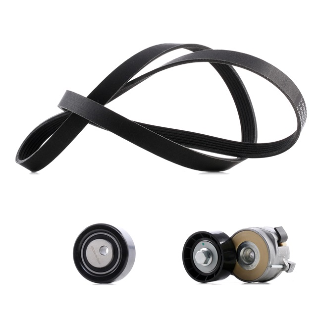 RIDEX PLUS 542R0048P V formos rumbuotas diržas, komplektas Citroen Jumpy Van 1.6 HDi 16V 90 AG dyzelinas 2010