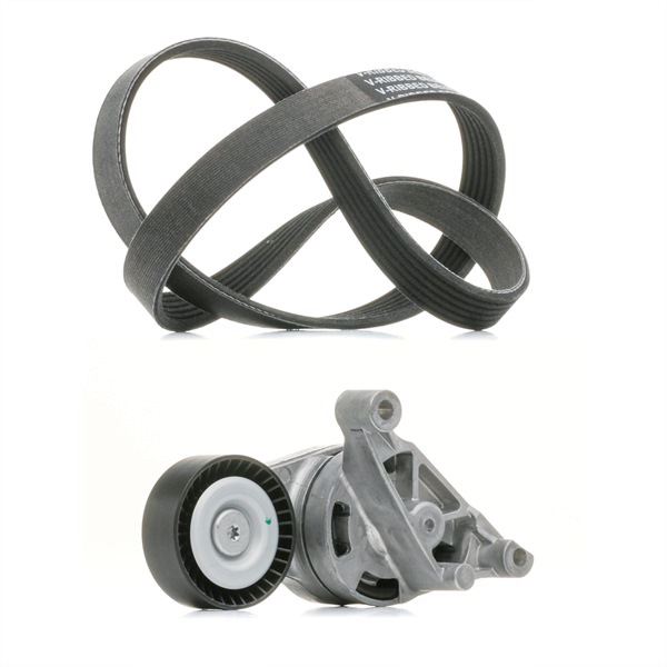 RIDEX PLUS 542R0044P multiriem set Seat Altea XL 2.0 TDI 136 Pk Diesel 2007