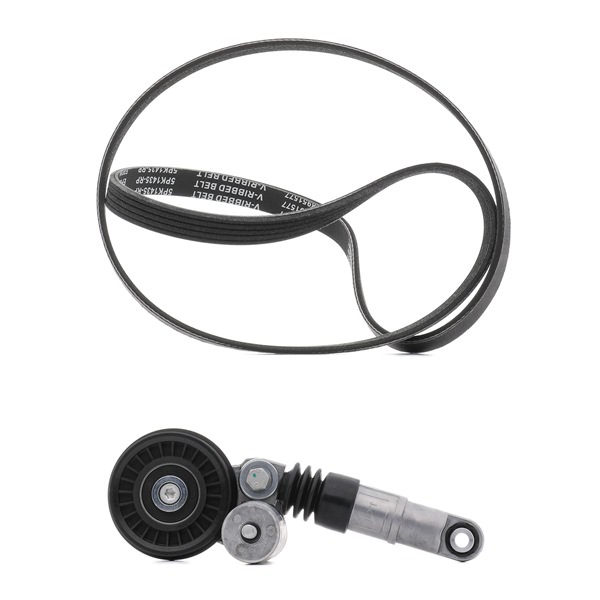 Kileribberem RIDEX PLUS SKODA SUPERB 542R0069P