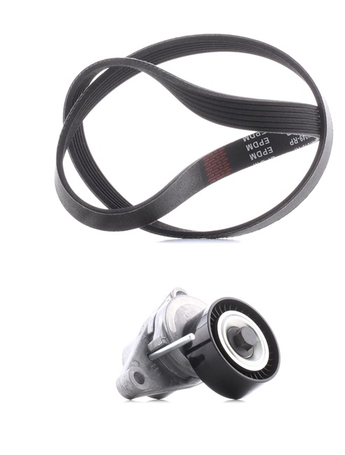 RIDEX PLUS 5750.PL Kileremsett 542R0006P