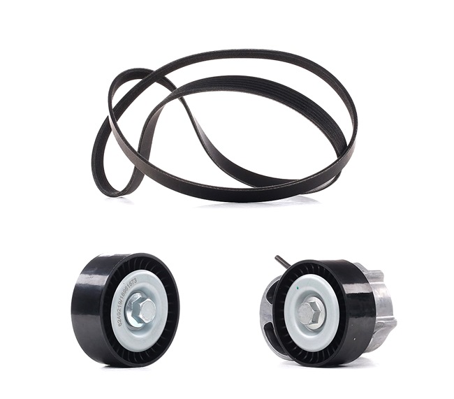 RIDEX PLUS 542R0110P Calidad y precios justos