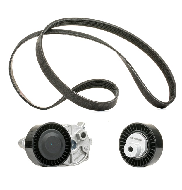 RIDEX PLUS 542R0198P Calidad y precios justos