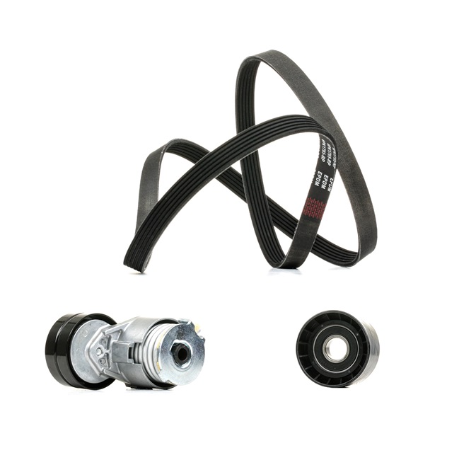 RIDEX PLUS 542R0020P Multiriem set OPEL Vivaro A Flatbed Vrachtwagen / Chassis (X83) 1.9 Di 82 Pk Diesel 2008