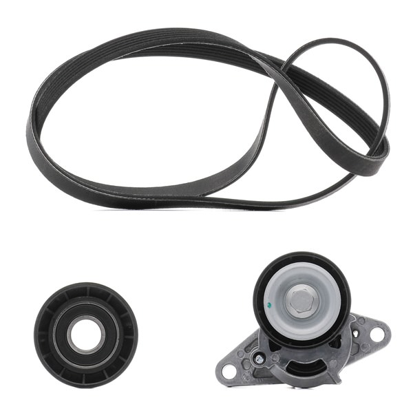 RIDEX PLUS 542R0082P Σετ ιμάντων poly-v Renault Scenic 1 2.0 16V (JA1D, JA17) 140 PS Βενζίνη 1999
