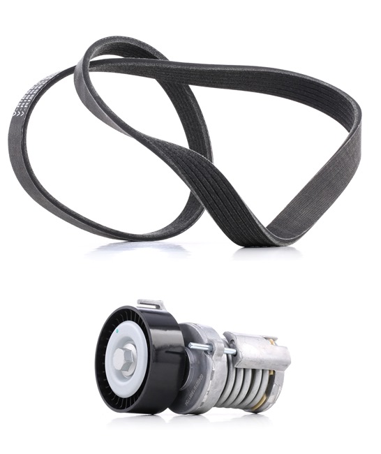 RIDEX PLUS 542R0036P Jogo de correia trapezoidal estriada Polo 6N1 75 1.6 75 cv Gasolina 1995