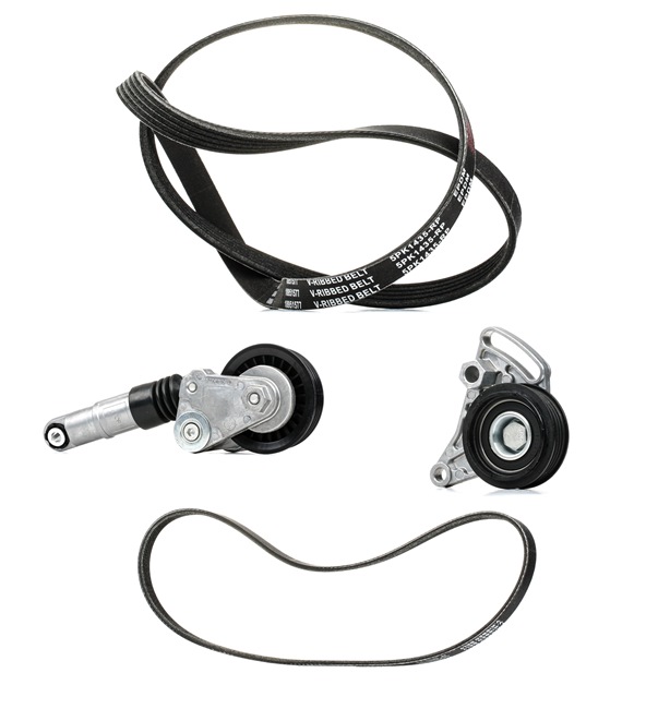 RIDEX PLUS 542R0083P Komplet rebrastega jermena Passat 3b5 1.9 TDI 101 km Dizel 2000
