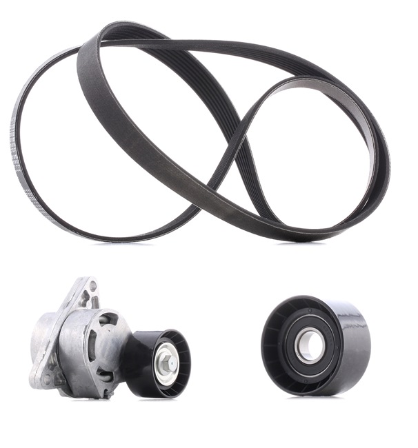 RIDEX PLUS 542R0282P Multiriem set OPEL Vivaro A Flatbed Vrachtwagen / Chassis (X83) 2.5 CDTI 146 Pk Diesel 2010