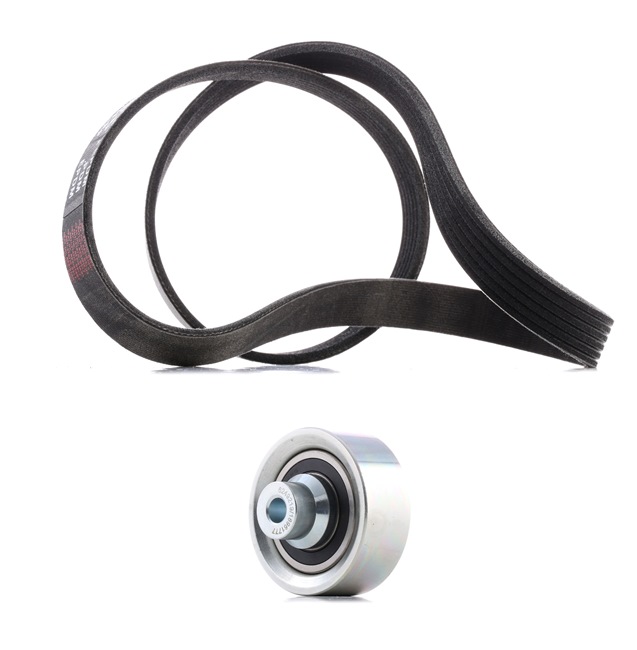RIDEX PLUS 542R0003P Calidad y precios justos