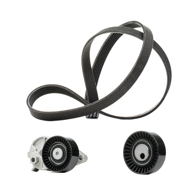 RIDEX PLUS 542R0388P A-kwaliteit en eerlijke prijzen