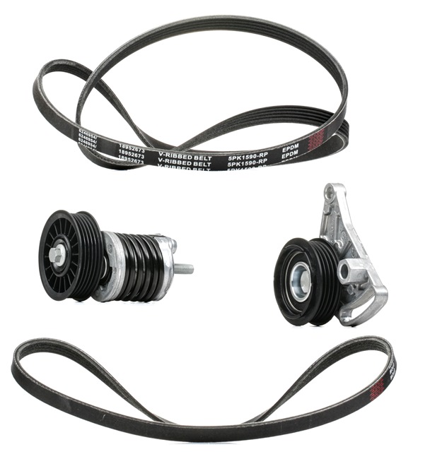 RIDEX PLUS 542R0060P Kit de courroie d'accessoire Passat 3b5 1.9 TDI Syncro/4motion 110 CV Diesel 2000
