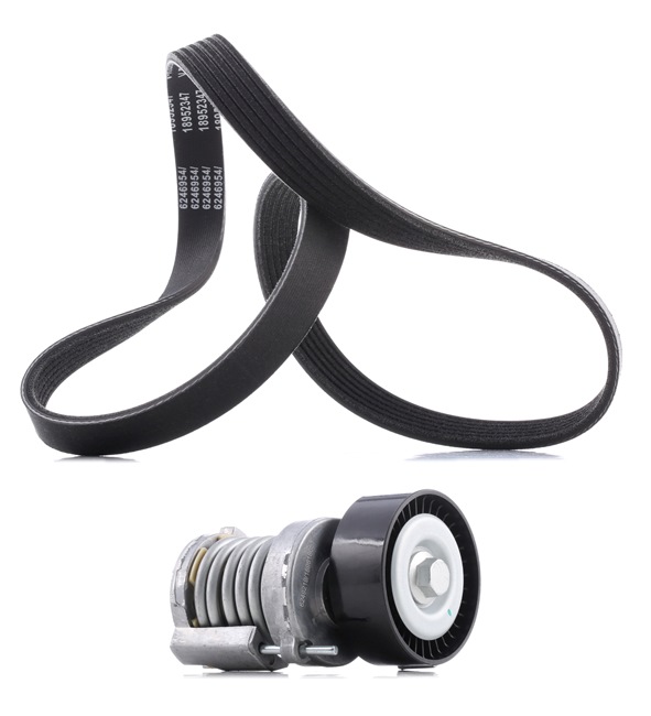 RIDEX PLUS 542R0093P Zestaw paska klinowego wielorowkowego VW Golf 5 1.4 16V 80 KM benzyna 2006