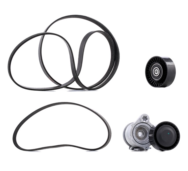 RIDEX PLUS 542R0098P A-kwaliteit en eerlijke prijzen