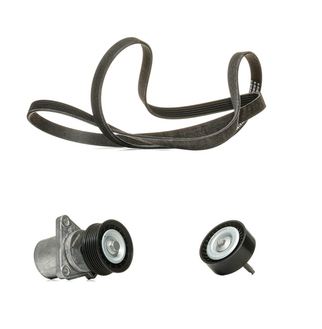 Kileribberem RIDEX PLUS FORD S-MAX 542R0286P